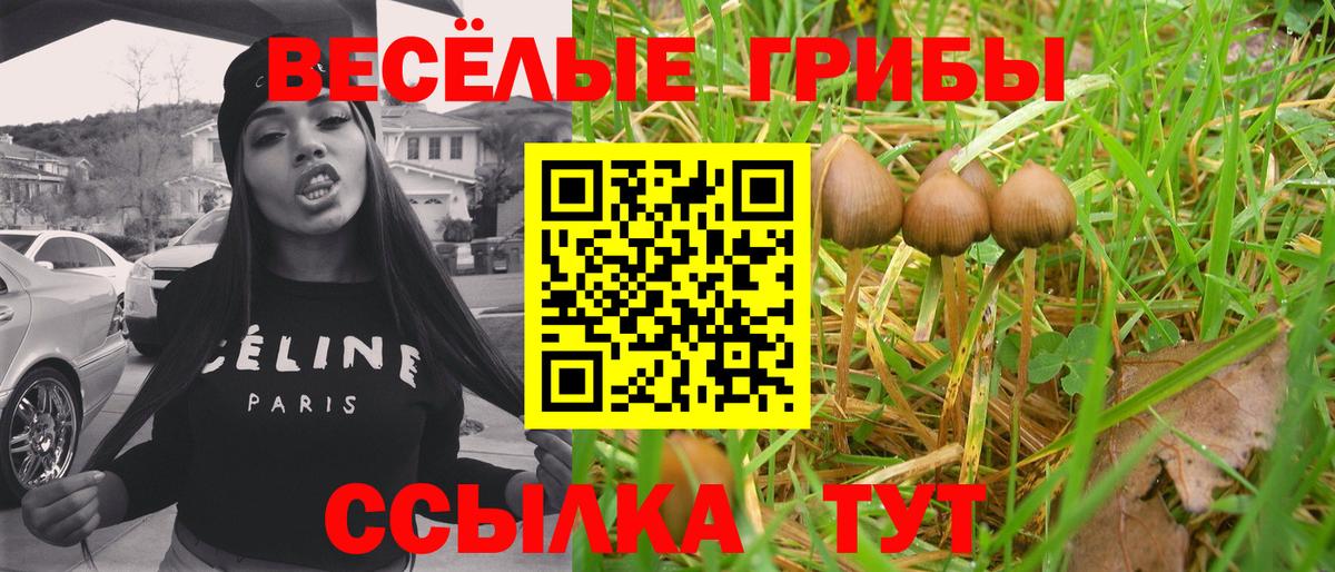 Железногорск  Псилоцибиновые грибы Magic Shrooms  Вход с VPN  Псилоцибиновые грибы мухоморы 