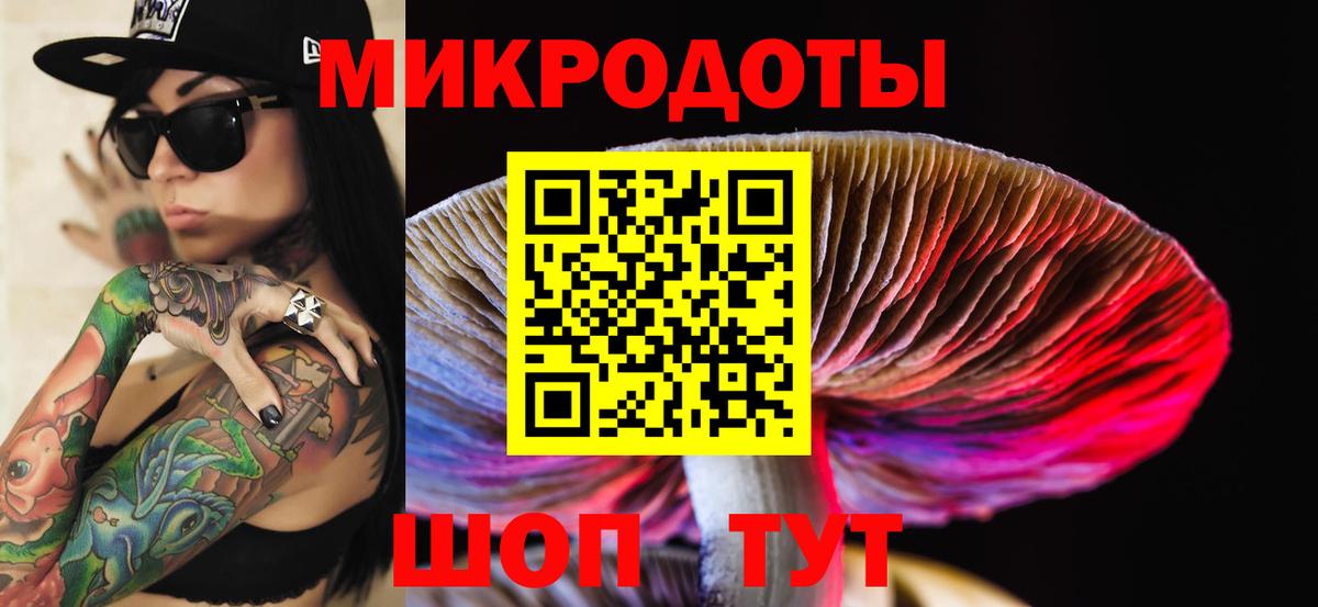 Псилоцибиновые грибы мухоморы Железногорск
